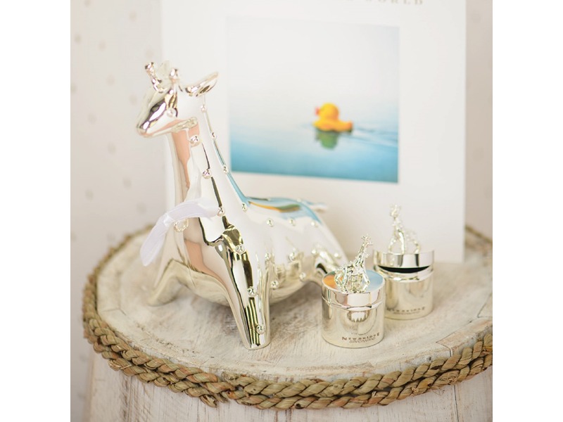 Newbridge Giraffe Money Bank