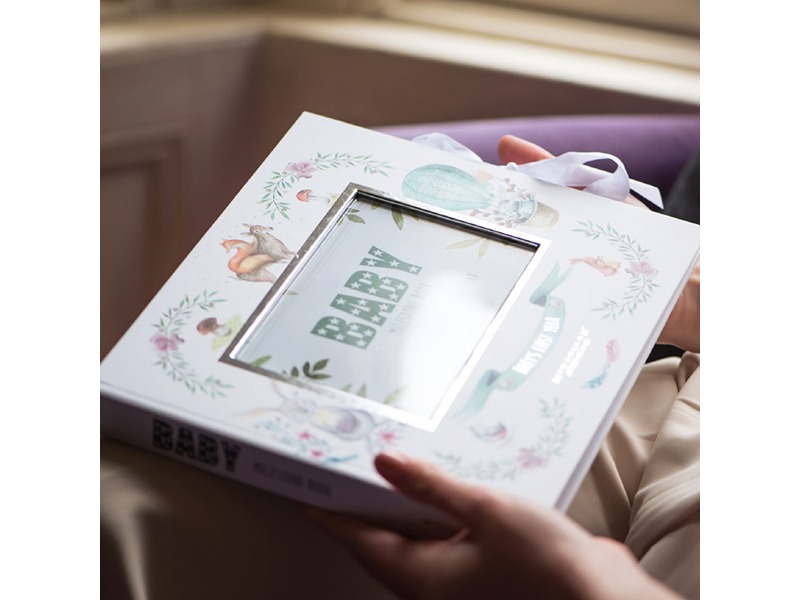 Baby Milestone Book
